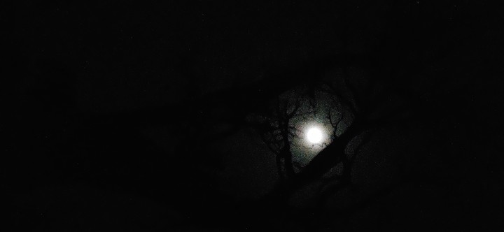 moon