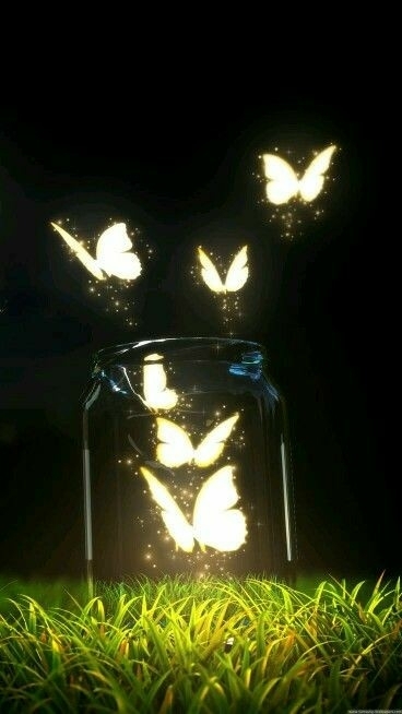 Mariposas de Luz.