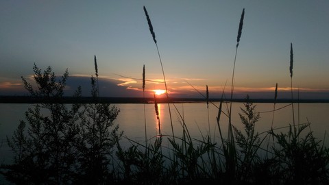 Amur