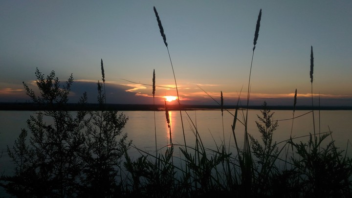 Amur