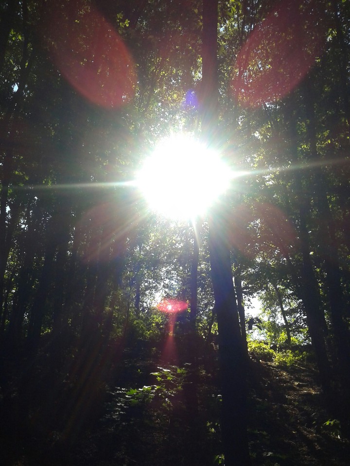 dazzlingsun