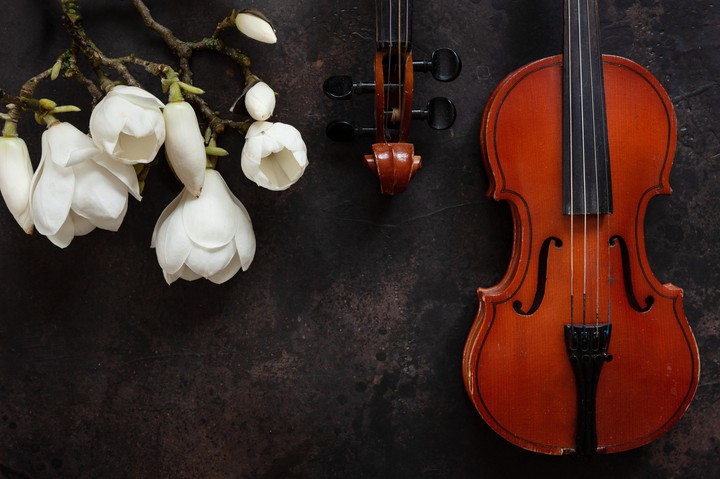 violin