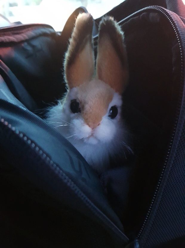 ♥