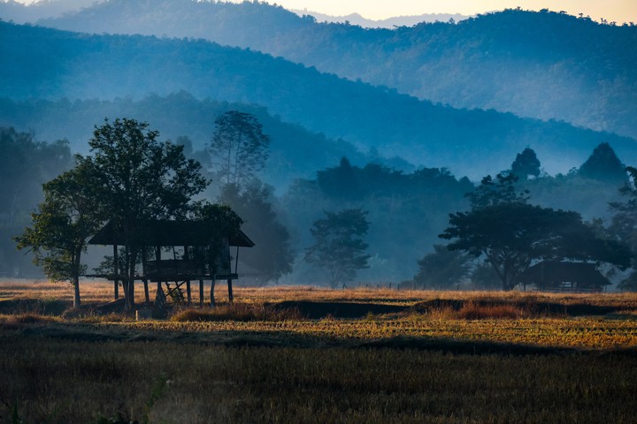 a​ simple life