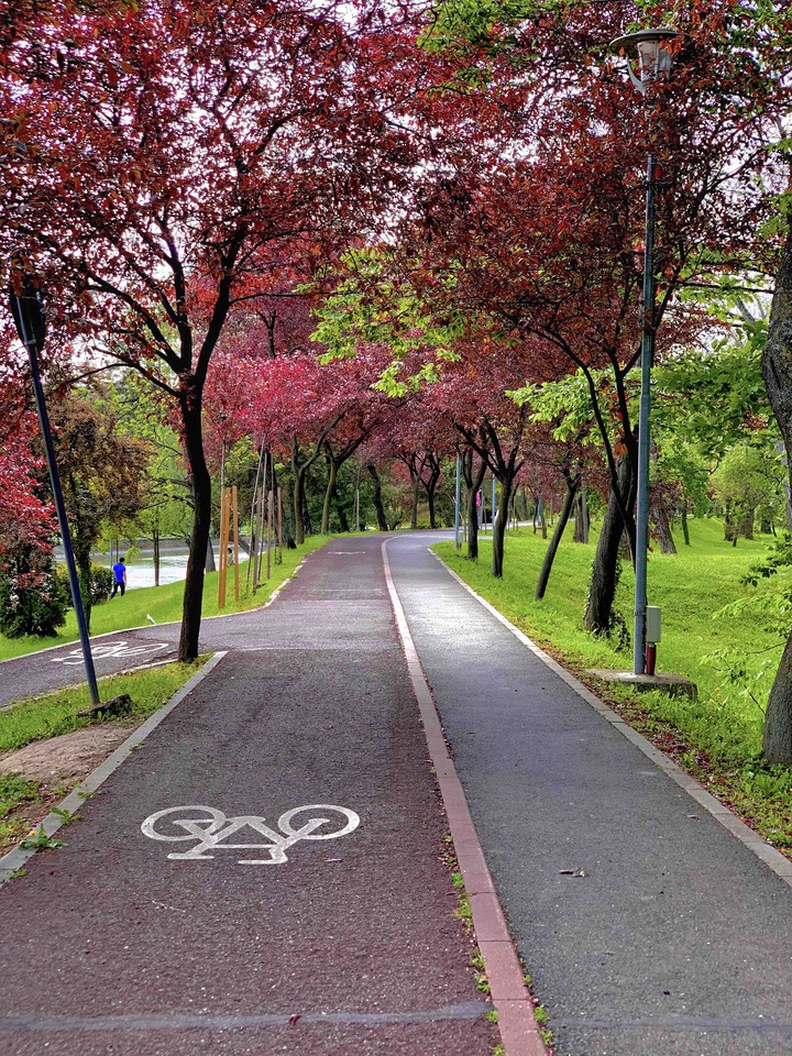 spring walk