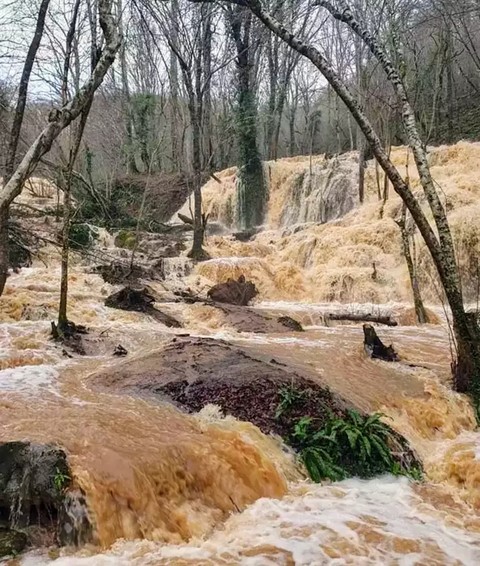 רקעים arroyo, rapids