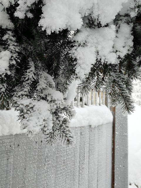 snow like fluff