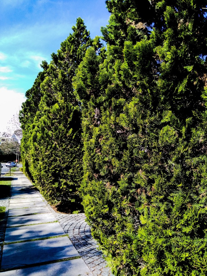 natureza