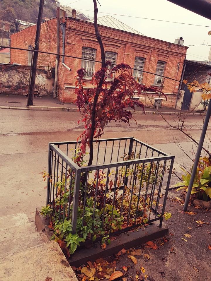 street