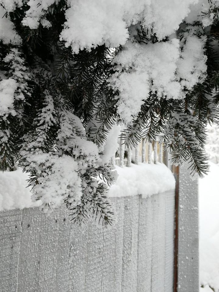 snow like fluff