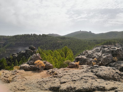 Gran Canaria