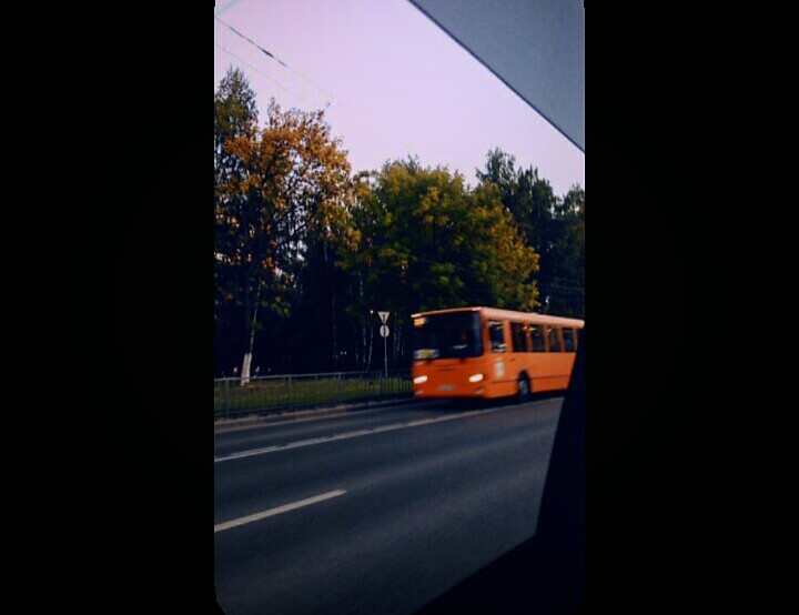 autumn??
