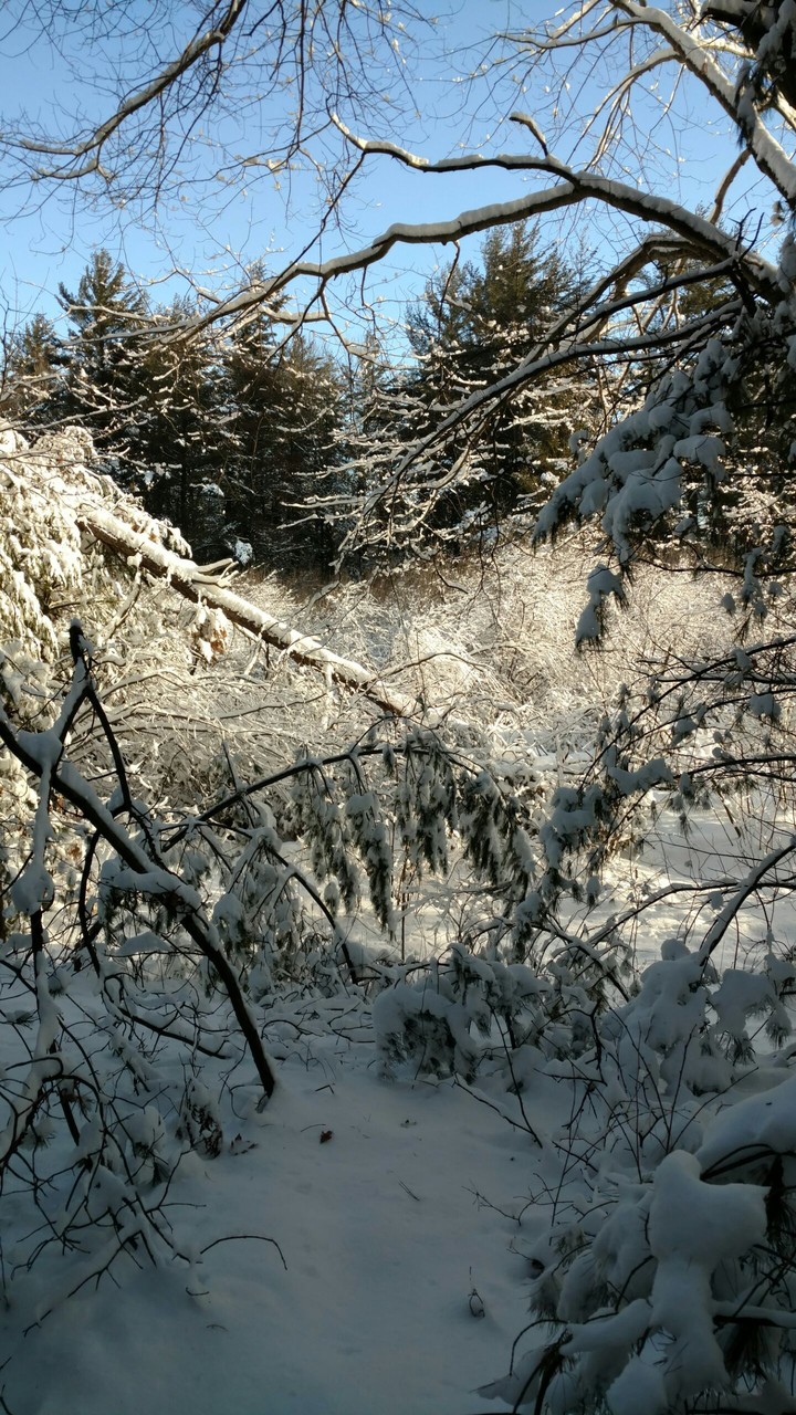 Lake Wazee Park