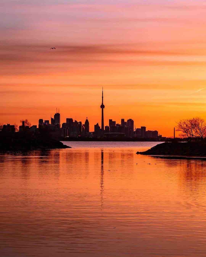 Orange Toronto