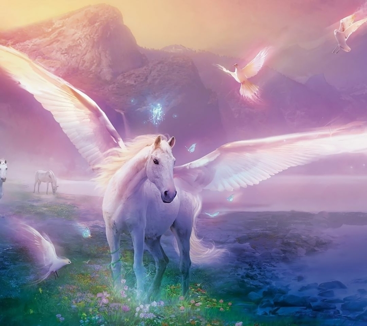 horse