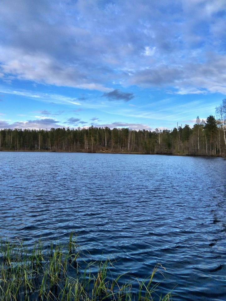 water surface