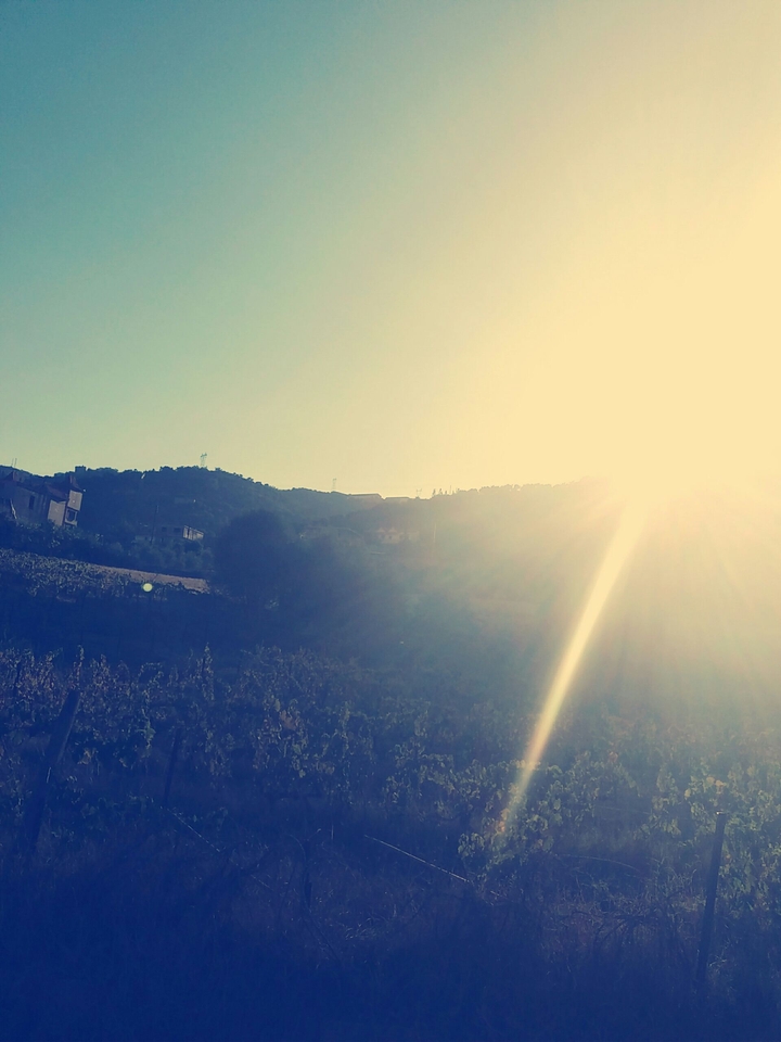 I took a picture in my village