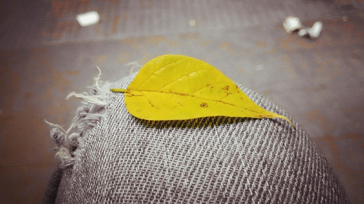 l little things!