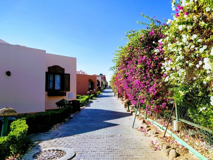 Egypt