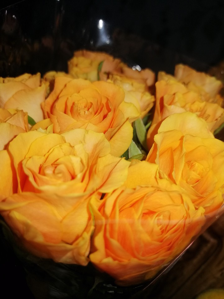 roses
