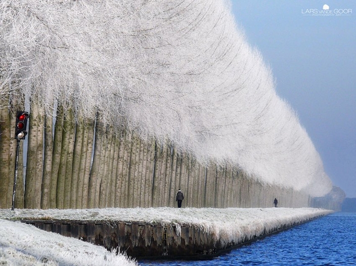 winter