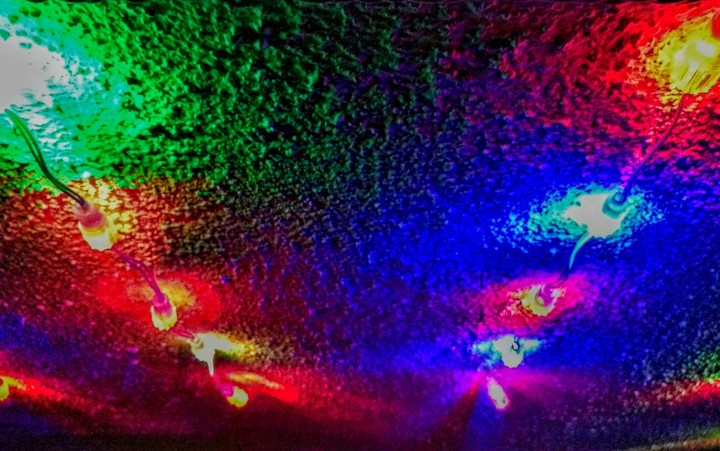 lights