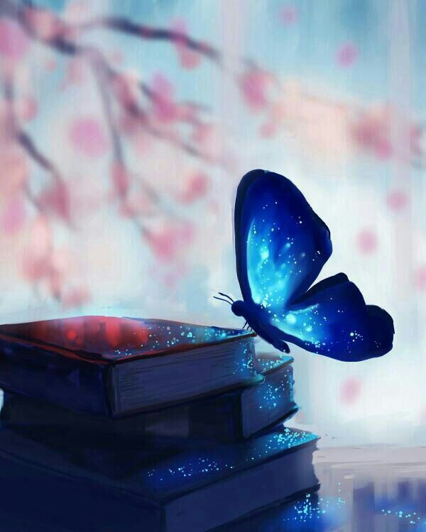 beauty