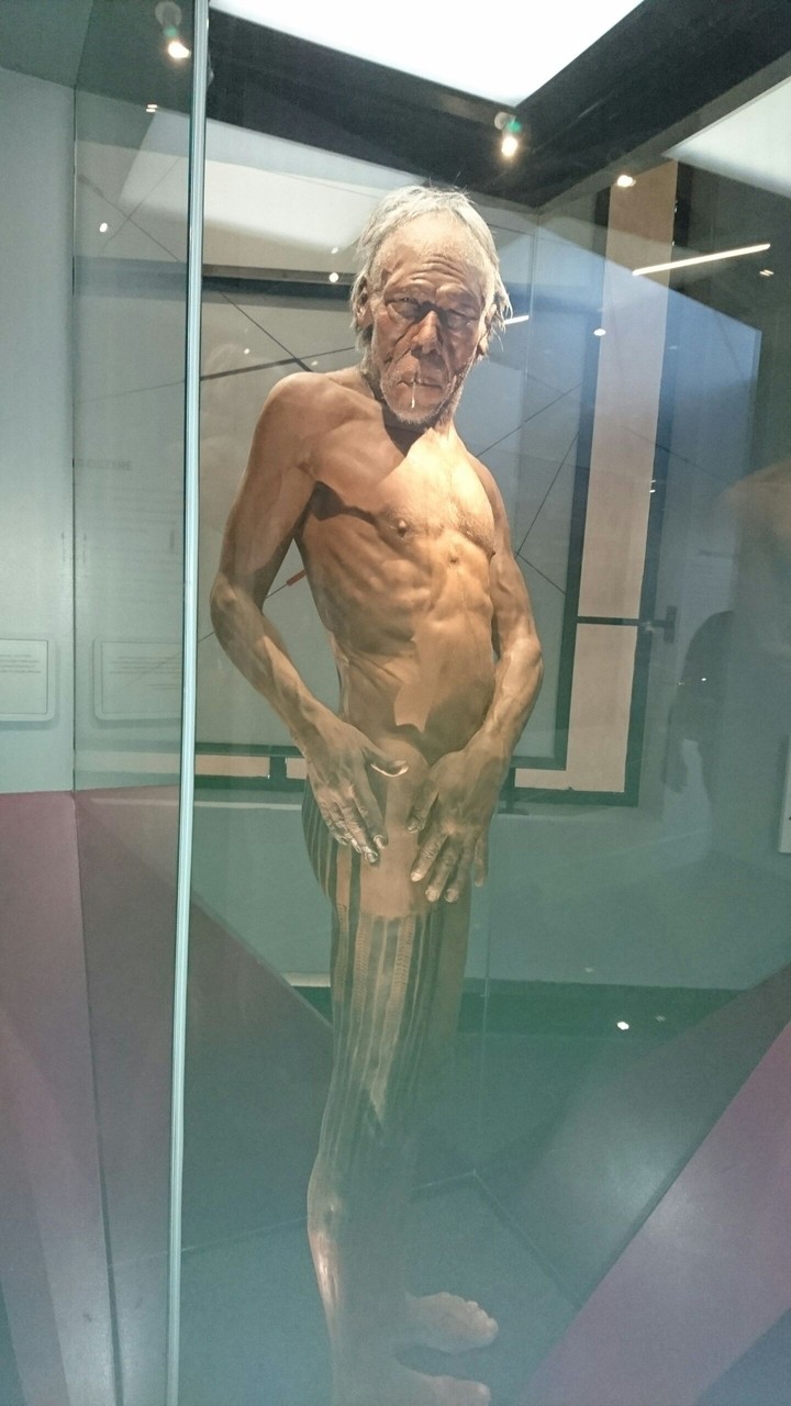 homosapiens