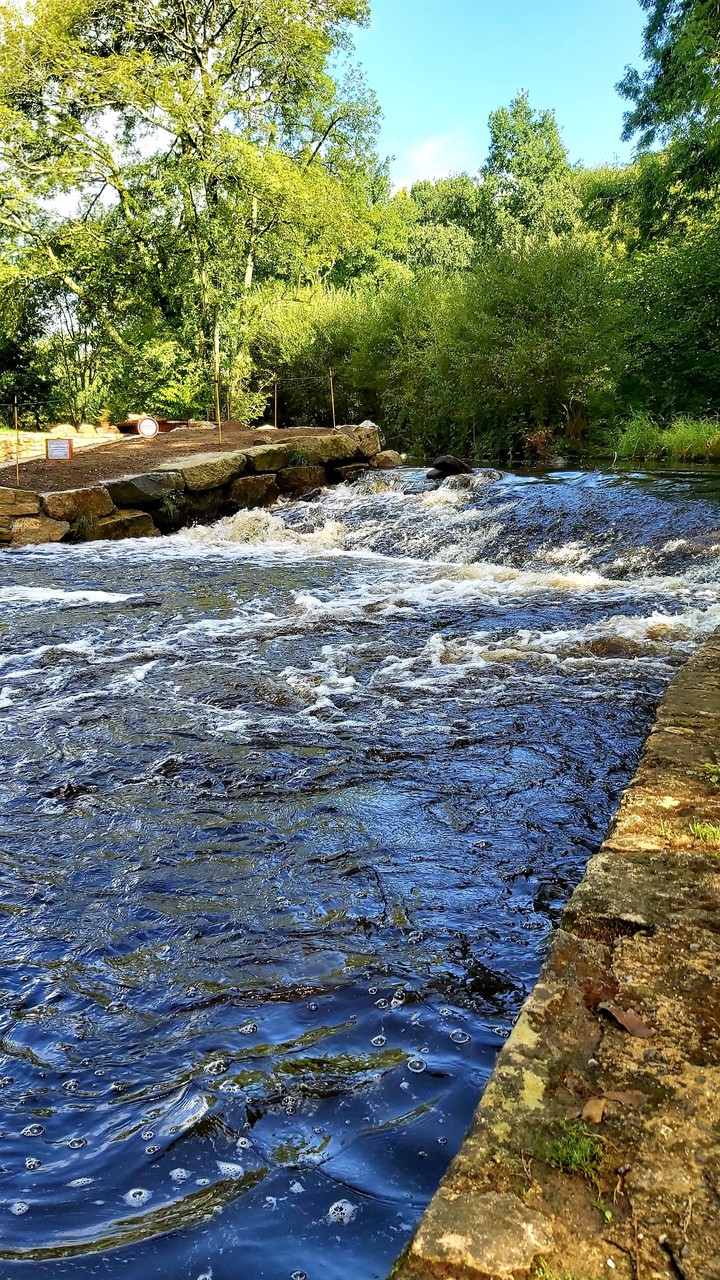 Riviere