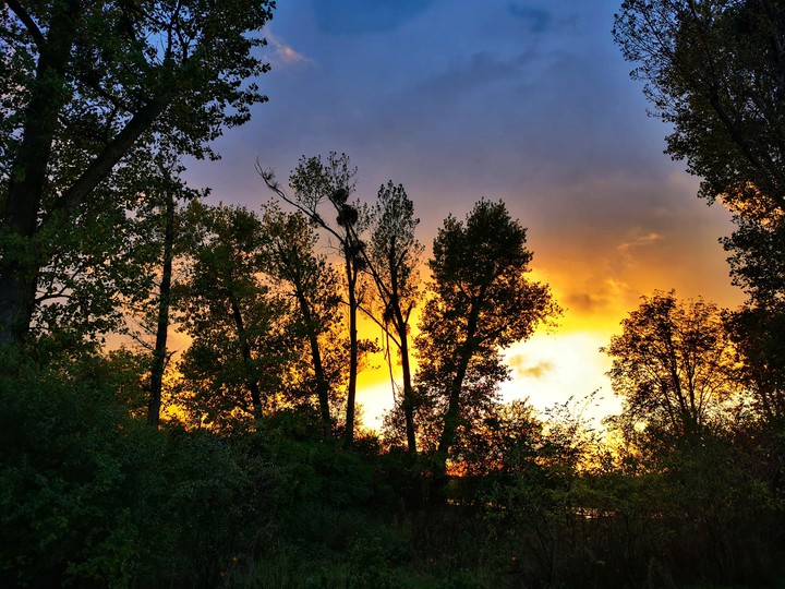 piękny widok