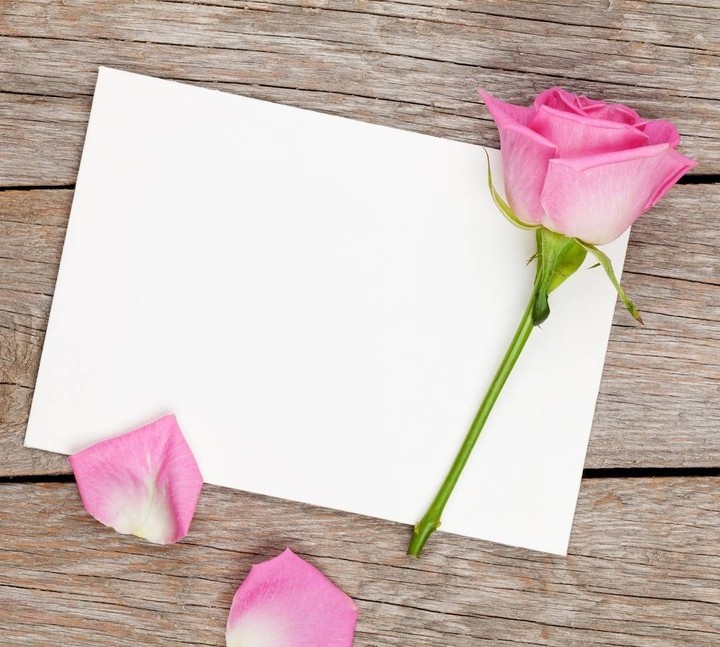 rosa