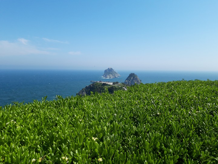 오륙도