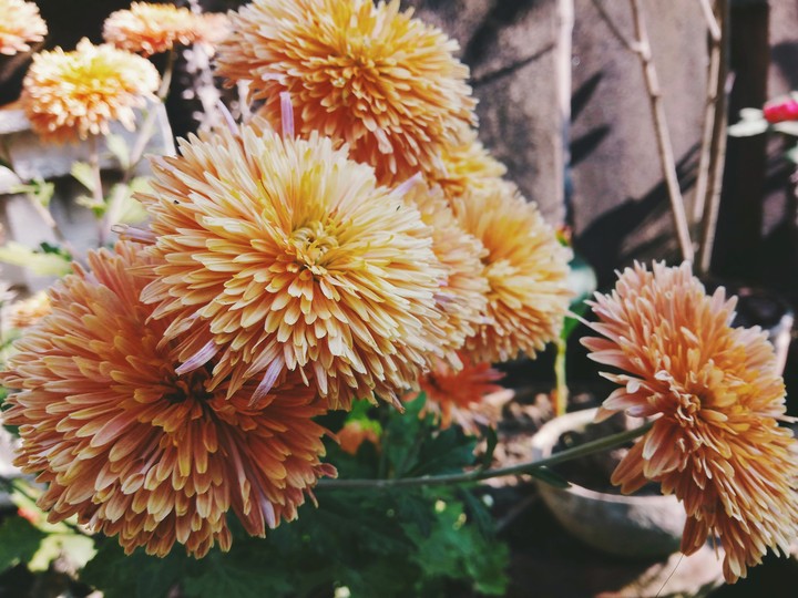 blessings of winter