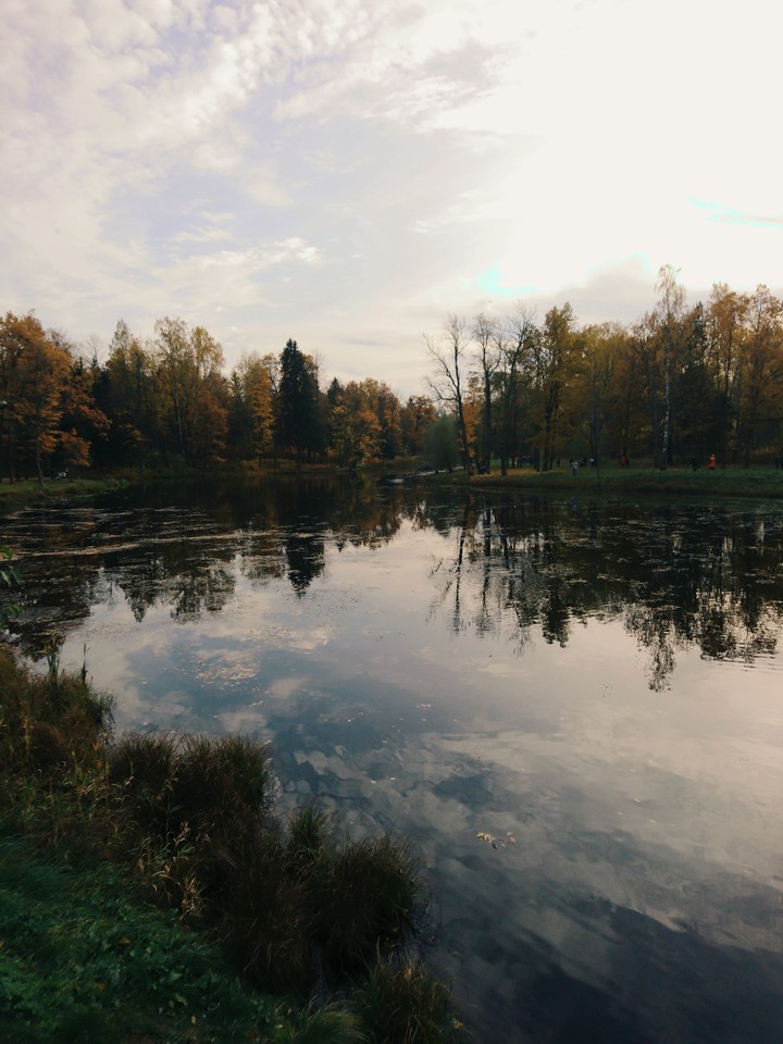 Autumn