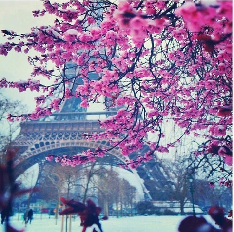 Paris ?