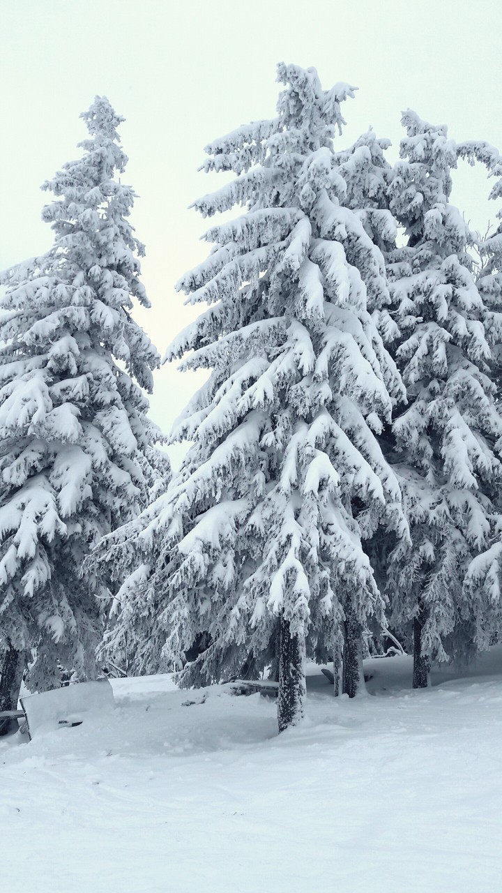 snow
