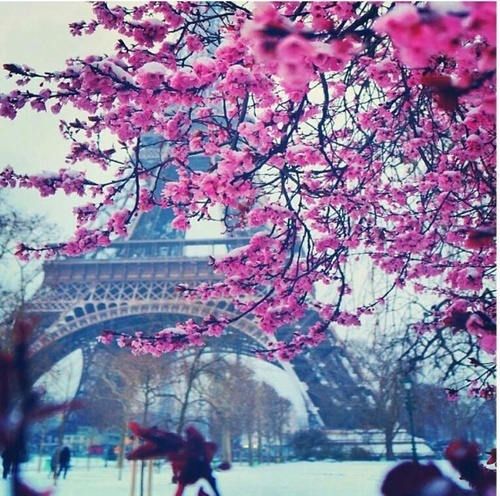 Paris ?