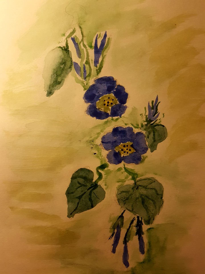 watercolor