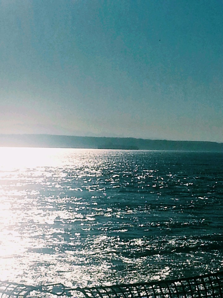 The water