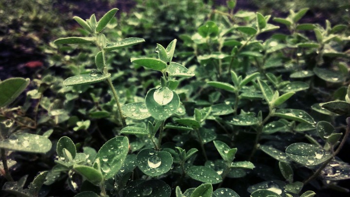 a rainy day