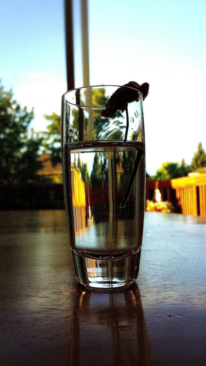 Sunset Vase