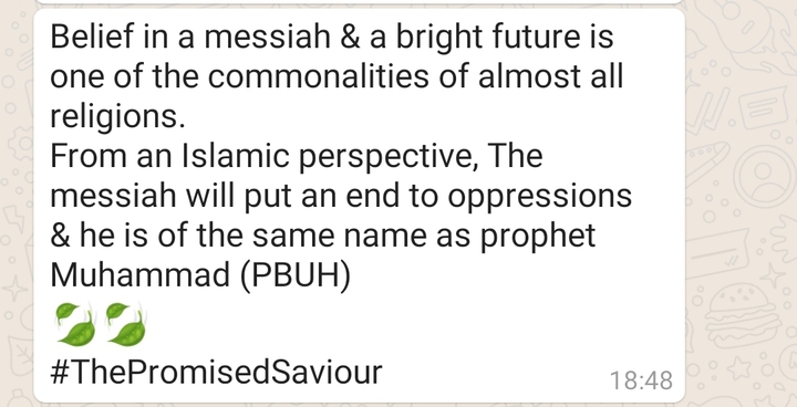 thePromisedSaviour