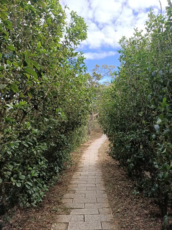 way