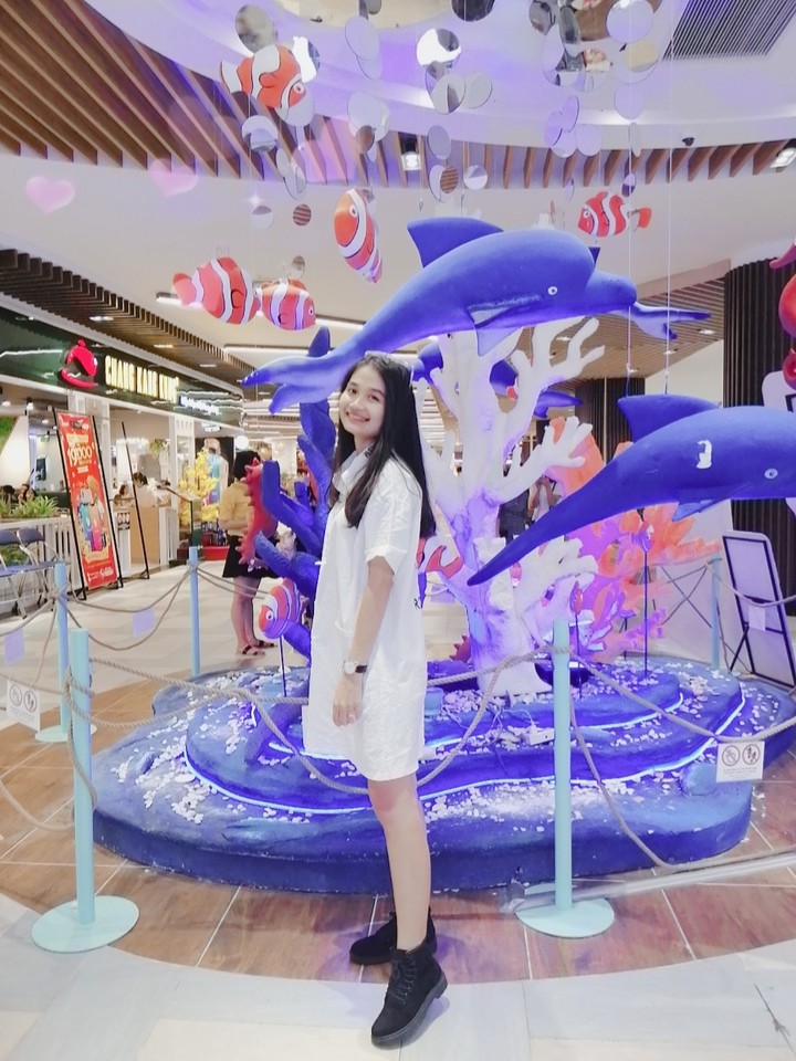 Me and dolphins