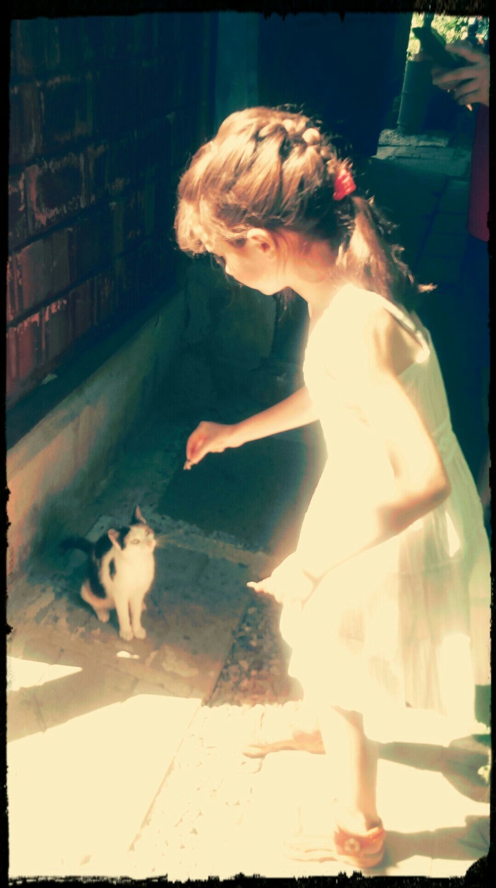 cat and girl