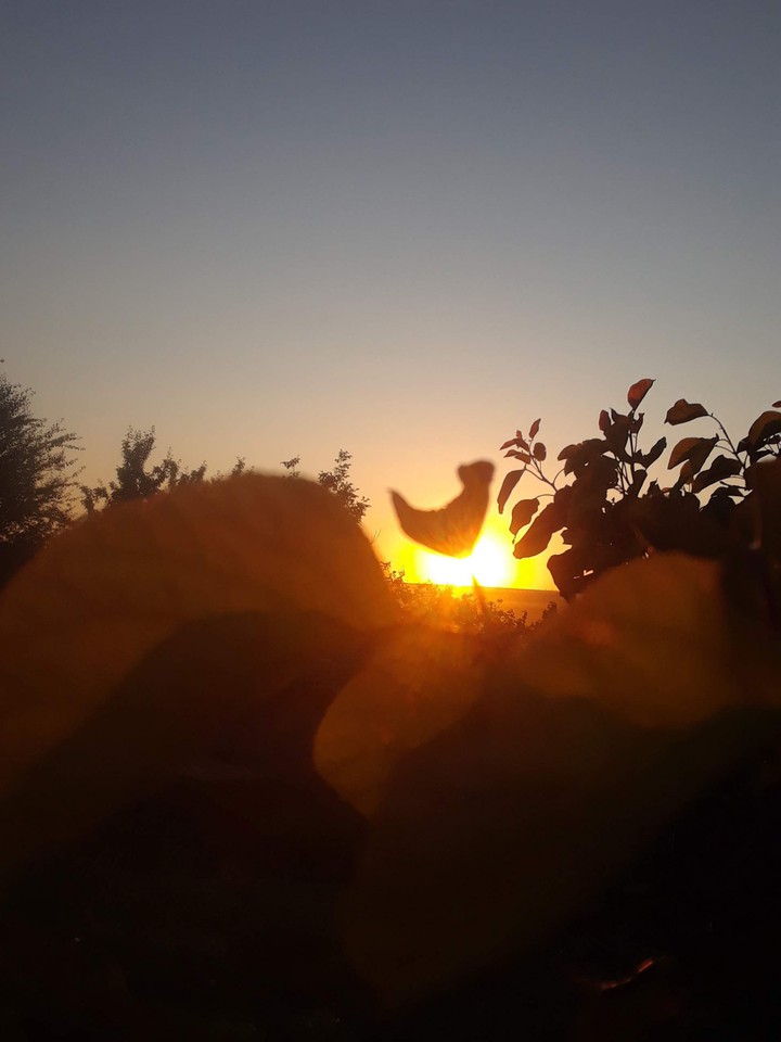 autumn ?