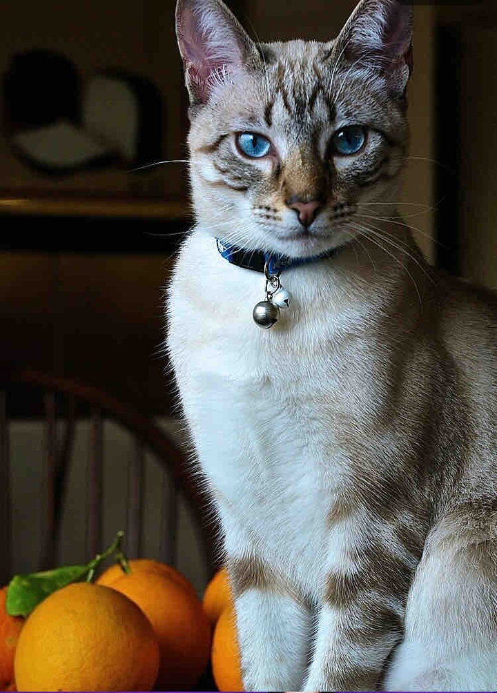 헉