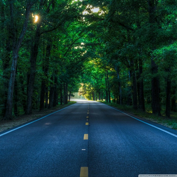 Road