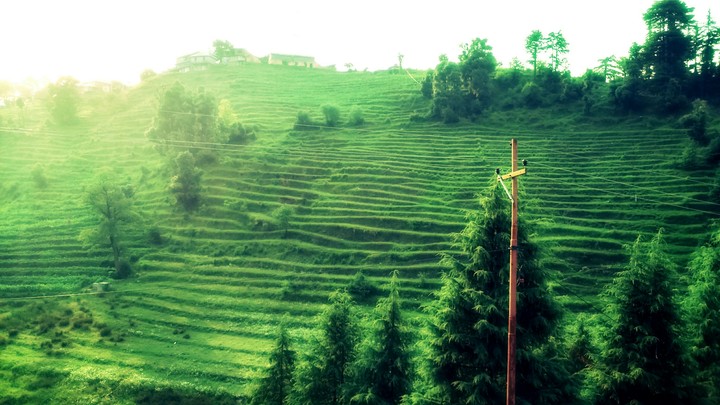 Nature .