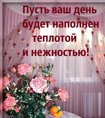 пожелание